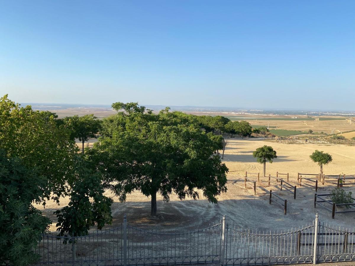 Sevilla Saltera Casa Rural Cerca Centro De Sevilla Familiar - Trabajo - Wifi Salteras Zewnętrze zdjęcie