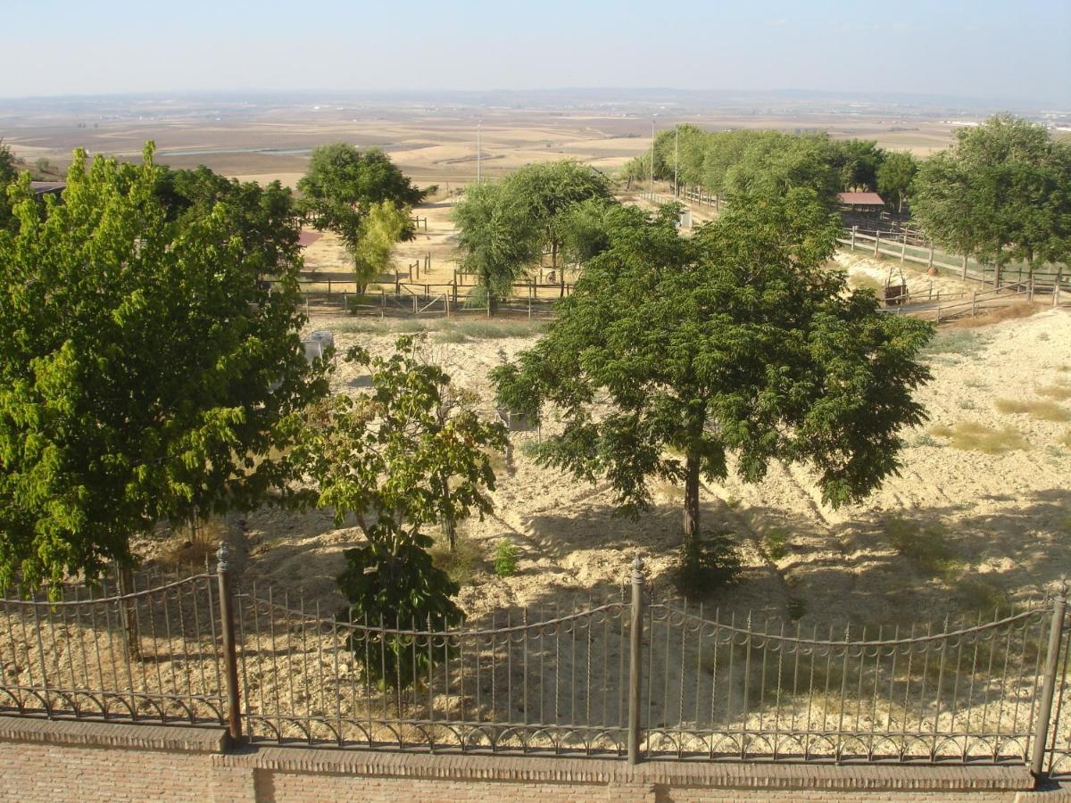 Sevilla Saltera Casa Rural Cerca Centro De Sevilla Familiar - Trabajo - Wifi Salteras Zewnętrze zdjęcie
